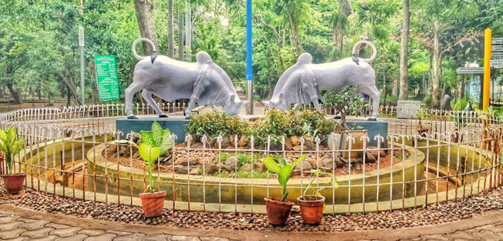 Cubbon Park, Bangalore