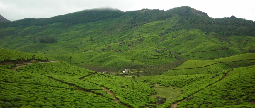 green valley view