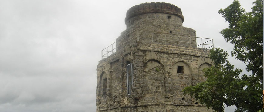 rajagiri fort