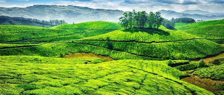 kerala