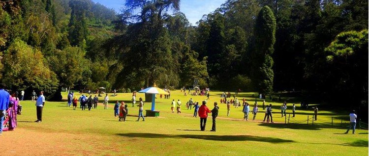 ooty park