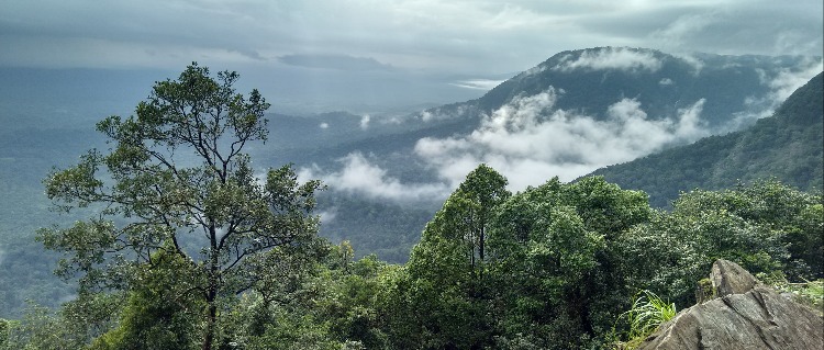 agumbe