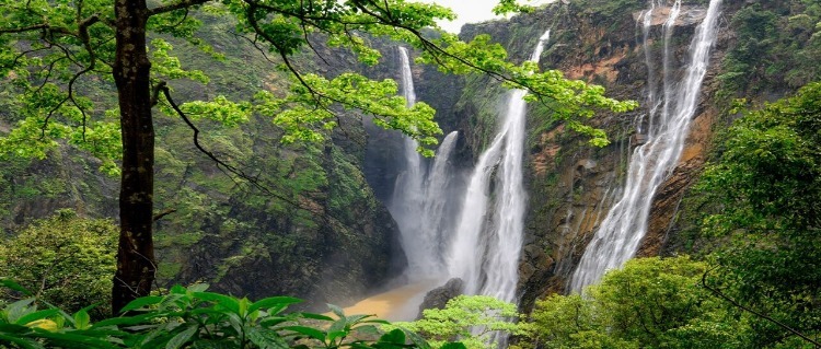 jog falls